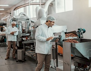 Site Audit at Food processing