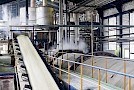 Sugar processing