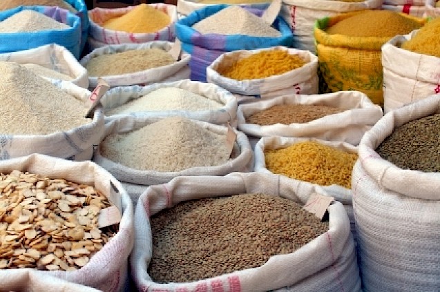 magnetic separation used in spice production