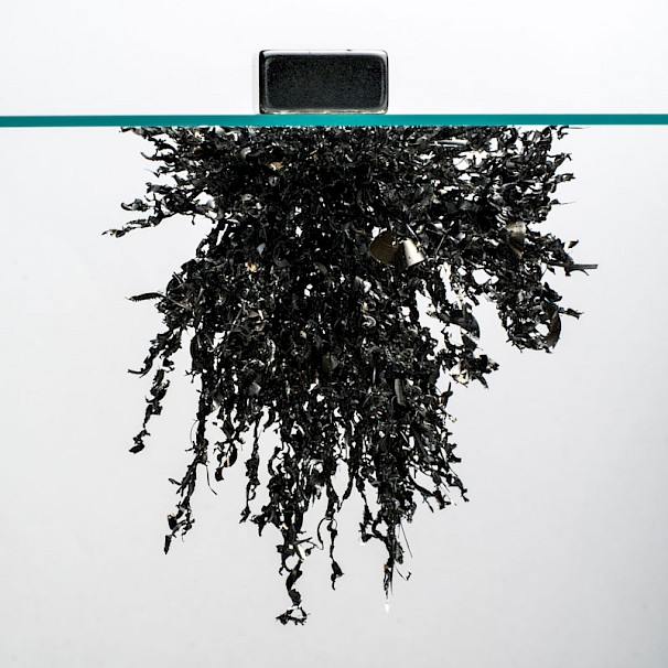 Iron filings in a magnetic field
